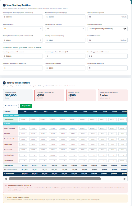 90-Day Cash Flow Forecast interface